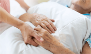 Close-up of a caregiver's hands gently holding an elderly patient's hands on a hospital bed.